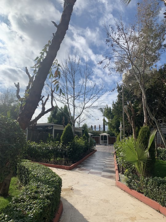 Außenansicht Hotel Delphin Imperial