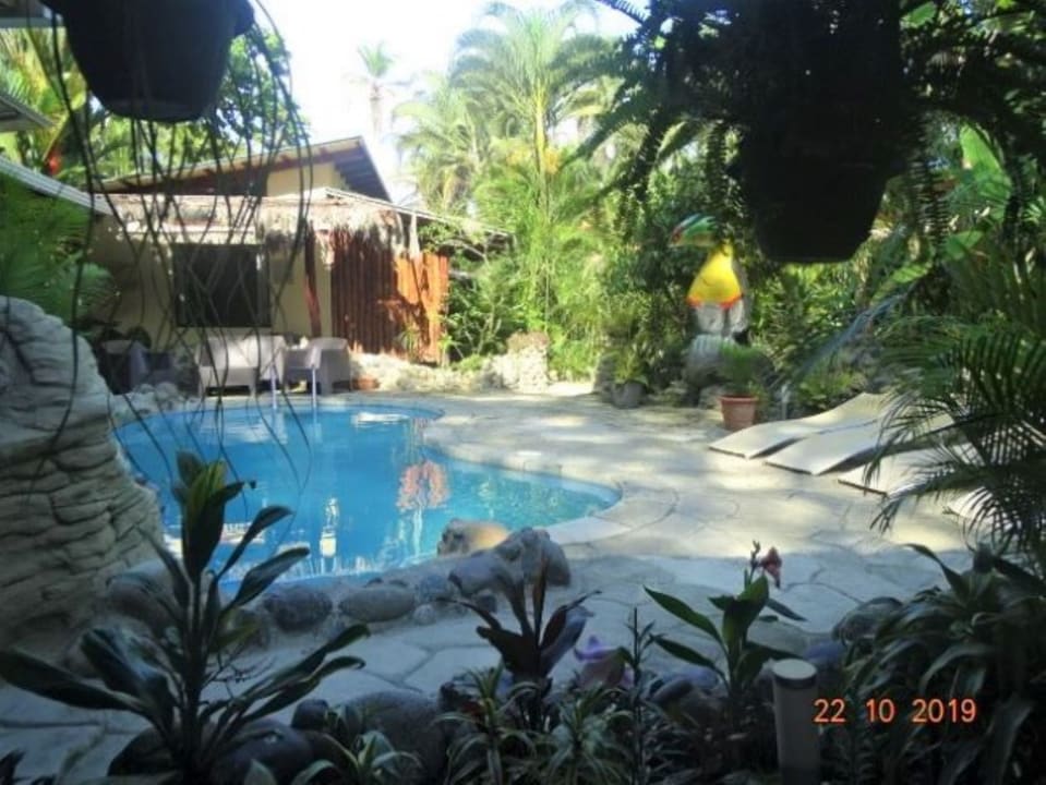 Zimmer Hotel Caribbean Coconut