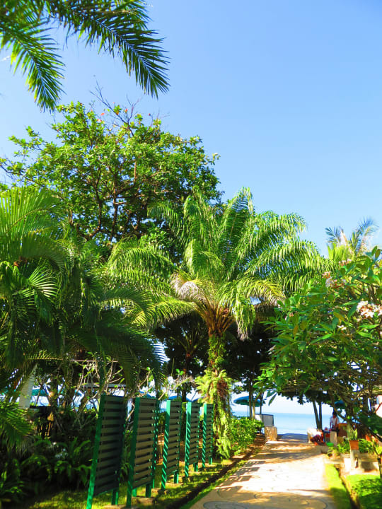 Weg zum Strand Baan Khaolak Beach Resort
