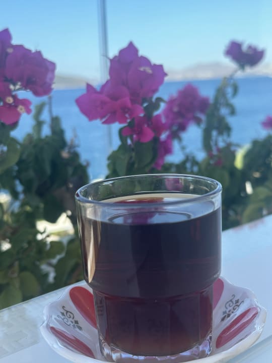 Gastro Bodrum Holiday Resort & Spa