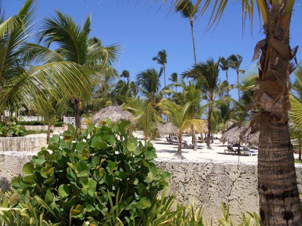 Erholung pur Bahia Principe Luxury Ambar