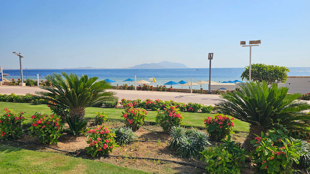 Ausblick Pickalbatros Palace Resort