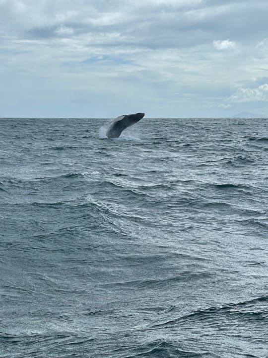 Sport & Freizeit Bahia Principe Grand Samana - Adults Only