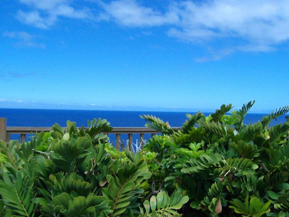 Klippen sind hinter dem Zaun La Palma Princess