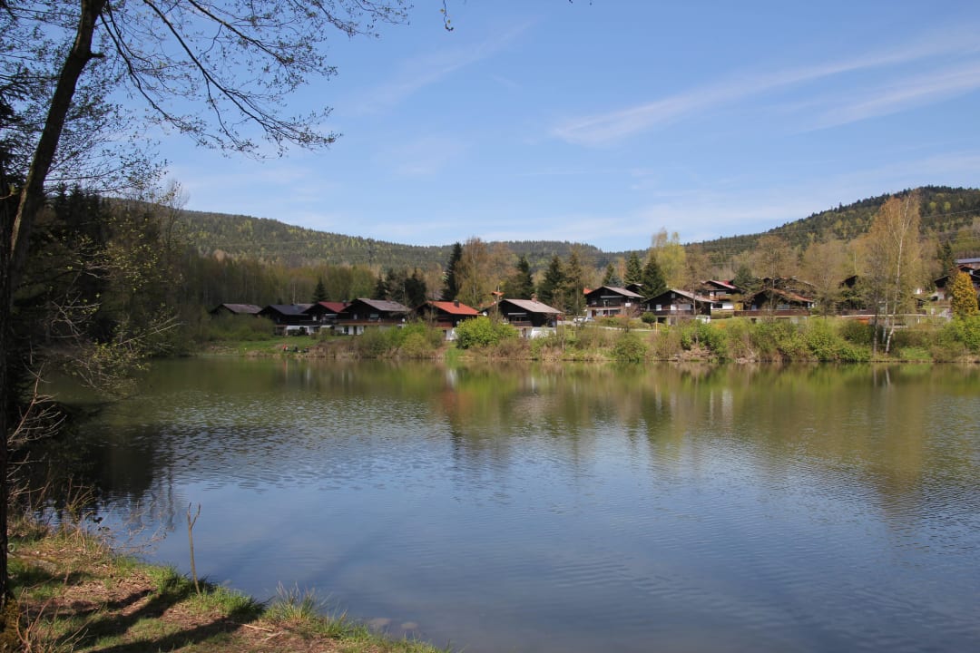 Blick über das Feriendorf vom Badesee aus Feriendorf Am Hohen Bogen