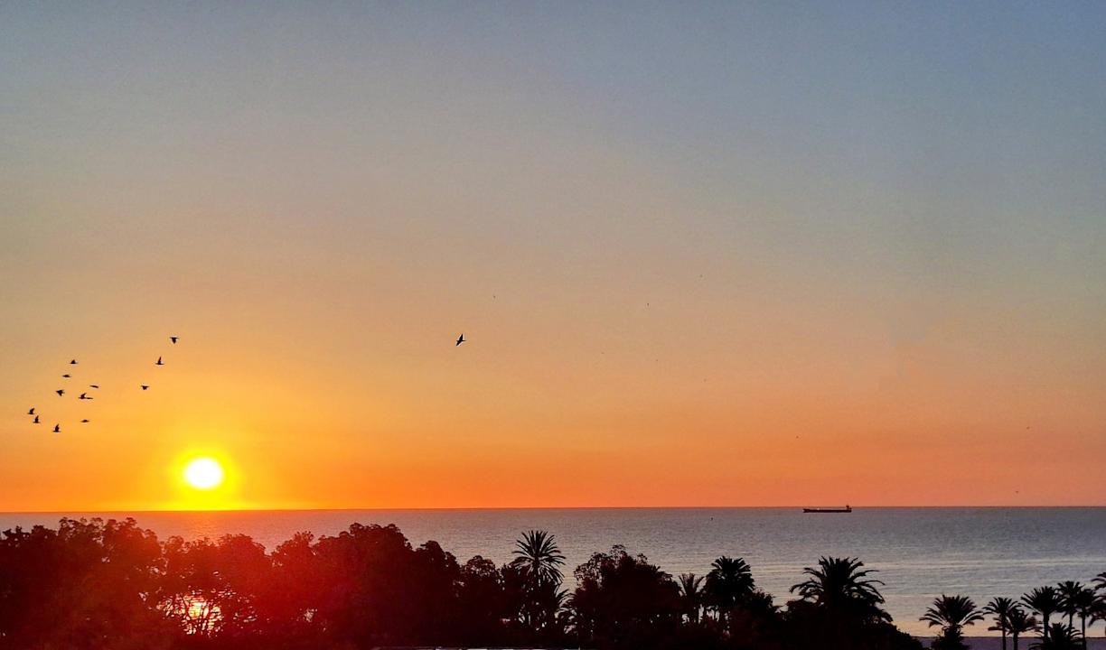 Ausblick Marhaba Royal Salem