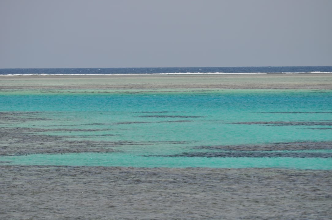 Tauchen Jaz Makadi Oasis Resort