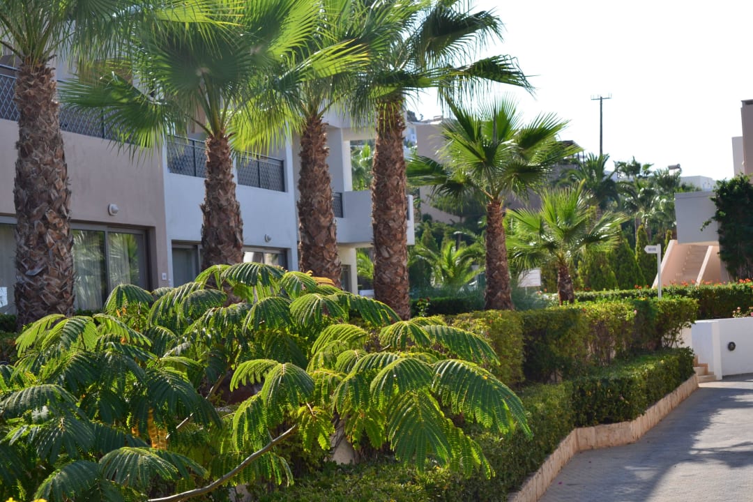 Garten Grand Hotel Holiday Resort