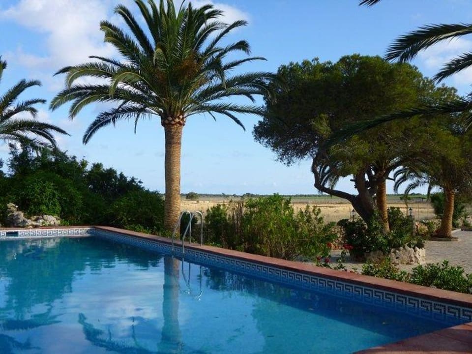 Mit Ausblick Hotel Sa Bassa Plana