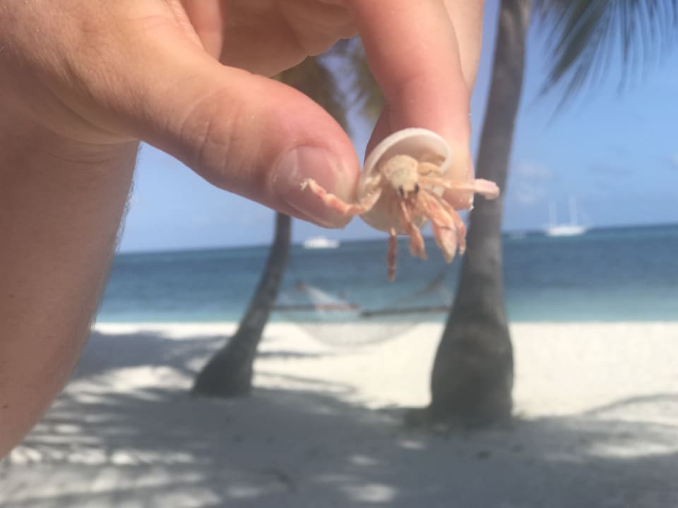 Strand Kuredu Island Resort & Spa