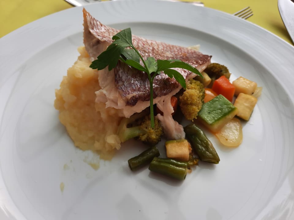 Gastro Seaside Hotel Palm Beach