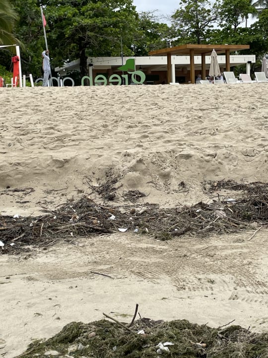 Strand Viva Heavens by Wyndham - All Inclusive Resort