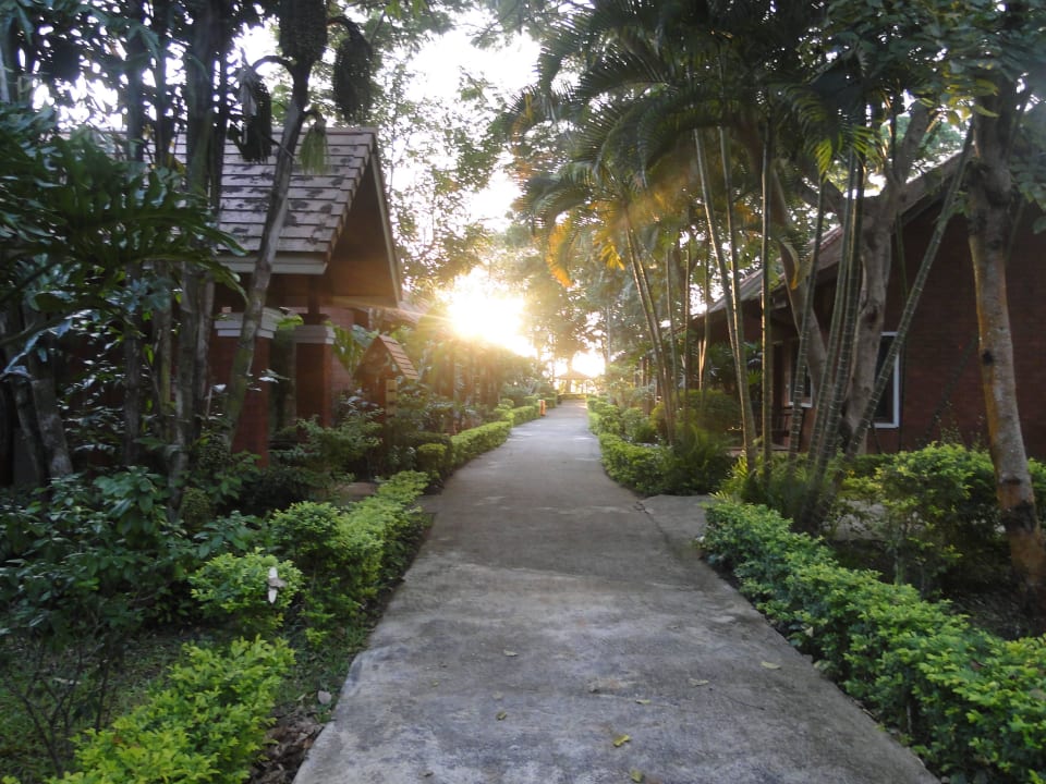 Hotel Golden Pine Resort Hotel Golden Pine Resort