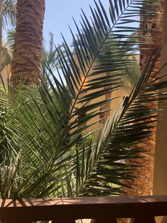 Sonstiges Steigenberger Coraya Beach - Adults only