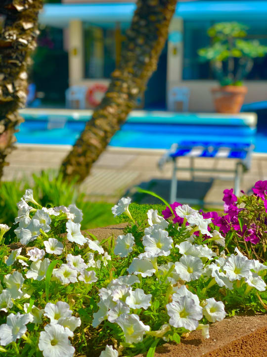 Außenansicht Hotel Terme Firenze