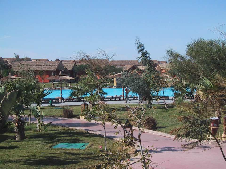 In der Anlage Pickalbatros Jungle Aqua Park Resort - Neverland Hurghada