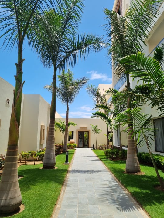 Gartenanlage Hotel Riu Palace Boavista
