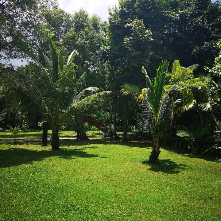 Gartenanlage Centara Koh Chang Tropicana Resort