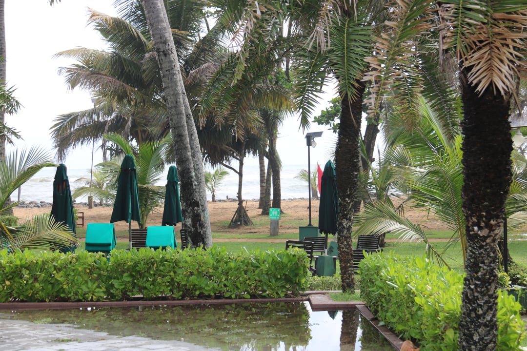 Gartenanlage Royal Palms Beach Hotel