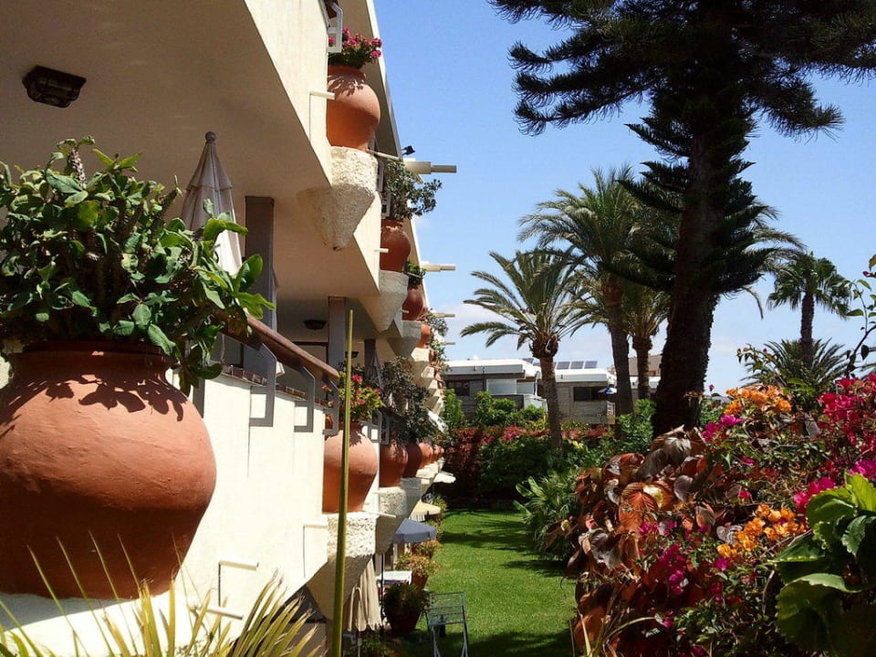 Nogalera Apartamentos Nogalera
