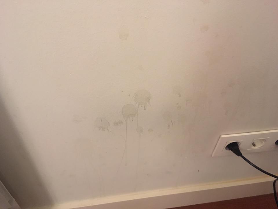 Zimmer Hva Augusta Garden Apartments