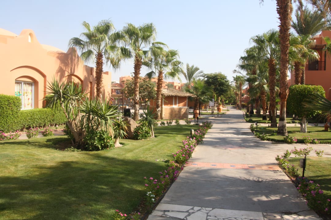 Garten Jaz Makadi Oasis Resort