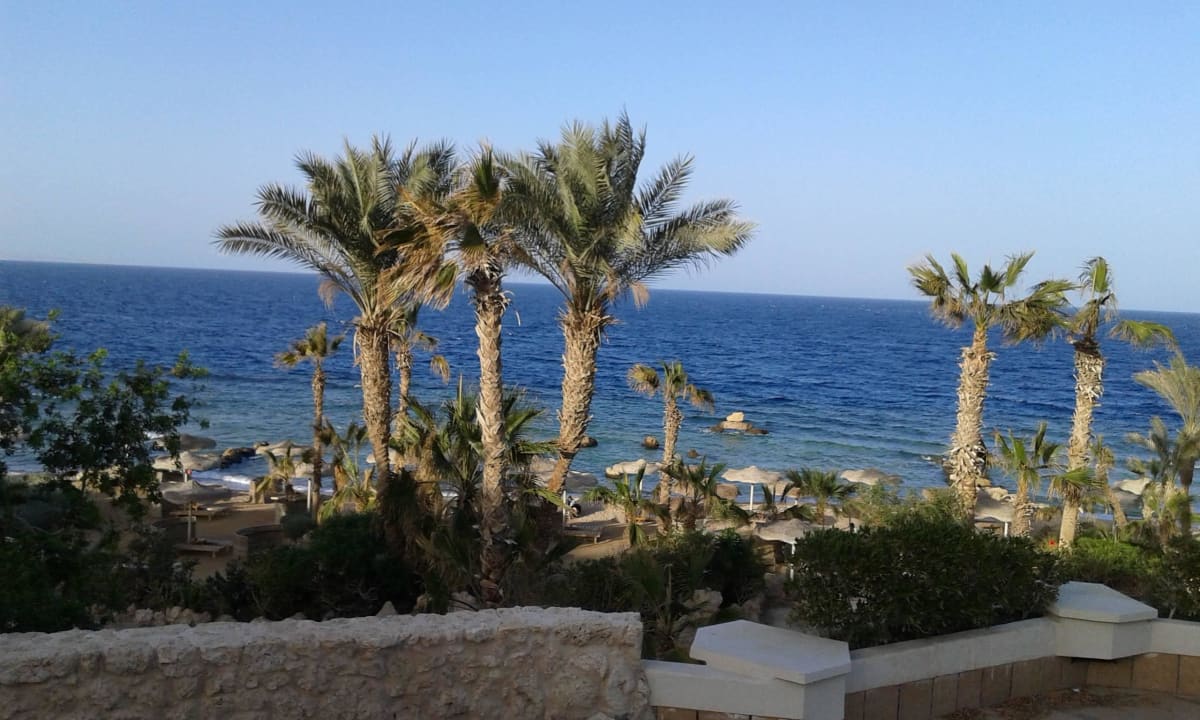 Teil vom Strand Pickalbatros Citadel Resort