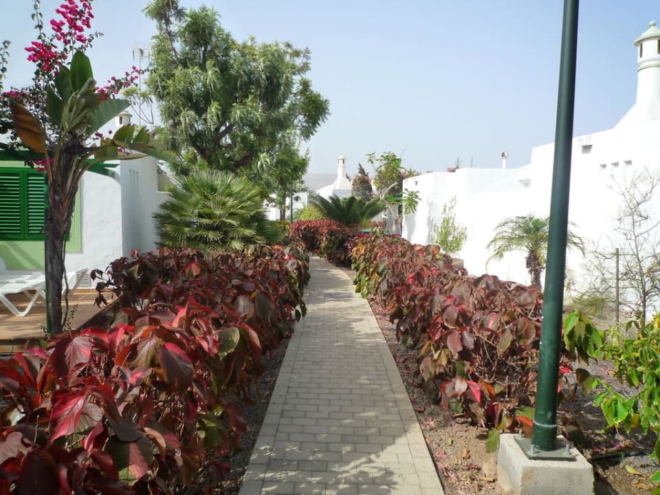 Schöner Garten Bungalows Cordial Sandy Golf