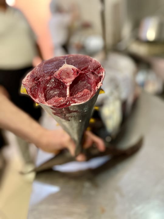 Gastro Aragosta Hotel & Restaurant