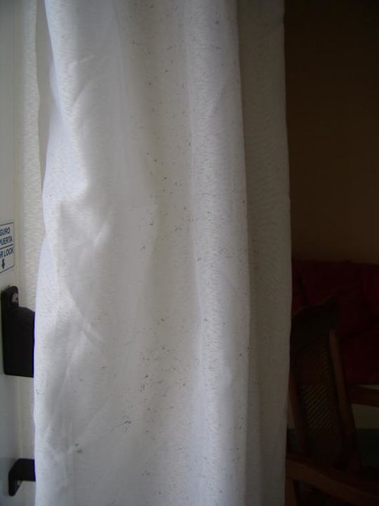 Schimmel an der Gardine Melia Las Antillas - Adults only