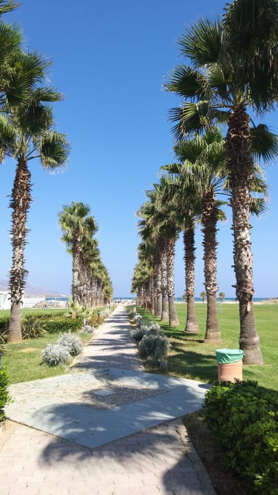 Gartenanlage Delfina Tropic Beach