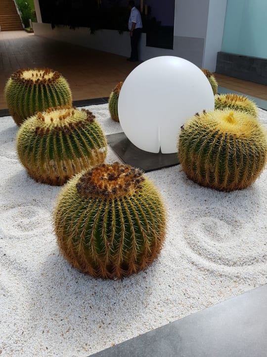 Sonstiges Hotel Riu Gran Canaria