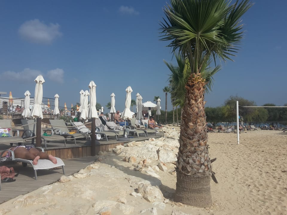 Strand Asterias Beach