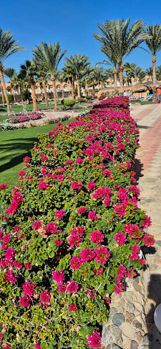 Gartenanlage Three Corners Sea Beach Resort