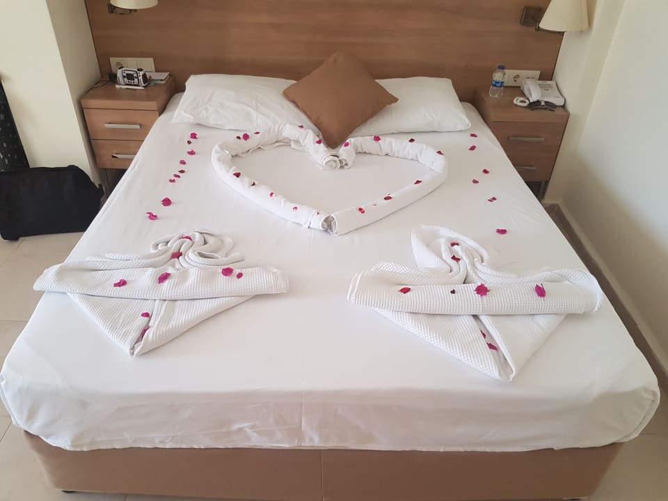 Zimmer Dream Family Club