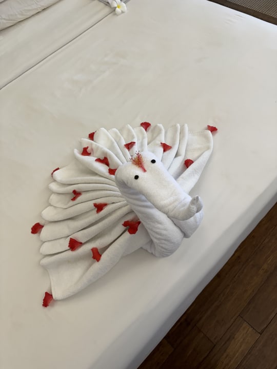 Zimmer Thaala Bentota