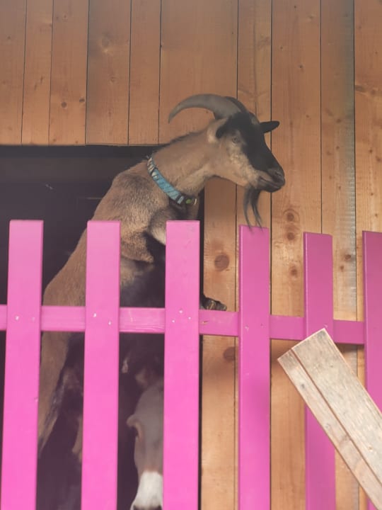 Gartenanlage Hotel Stadt Wien