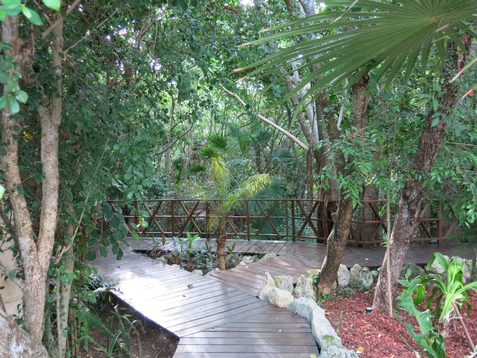 Garten The Fives Beach Hotel & Residences - All Senses Inclusive