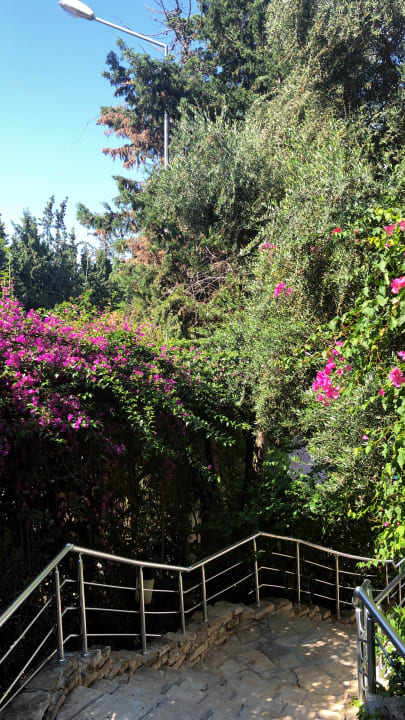 Gartenanlage Side Star Elegance