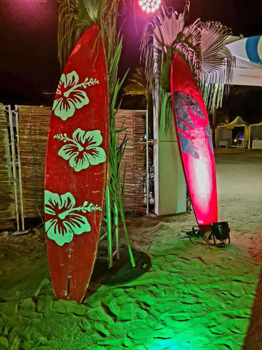 Sonstiges Desert Rose