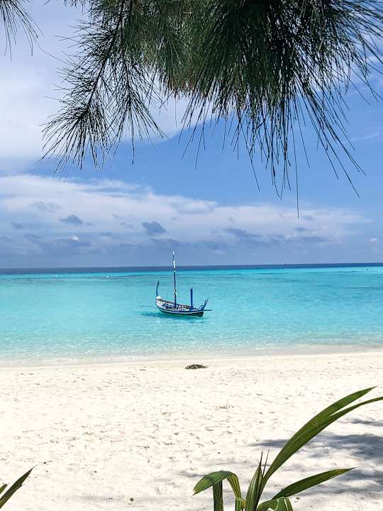 Strand Summer Island Maldives