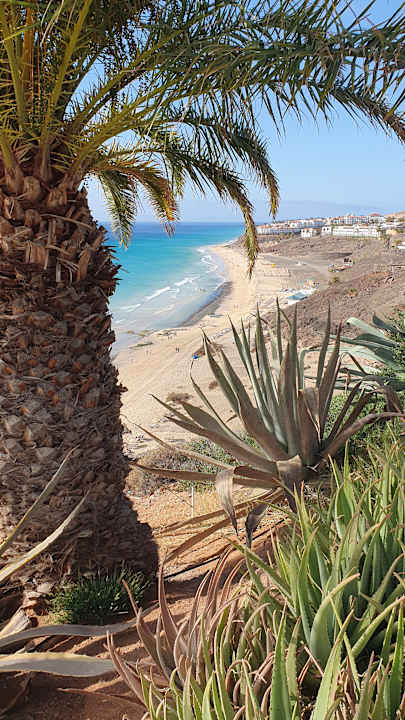Strand ROBINSON ESQUINZO PLAYA