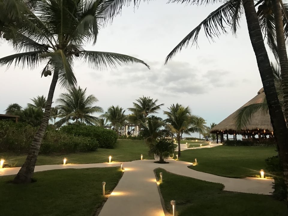 Gartenanlage Akumal Bay Beach & Wellness Resort