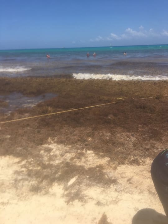 Strand Hotel Riu Lupita