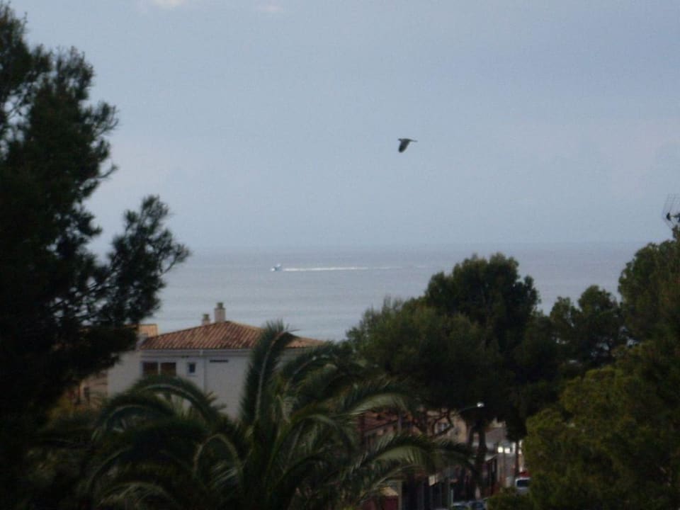 Ausblick allsun Hotel Paguera Park