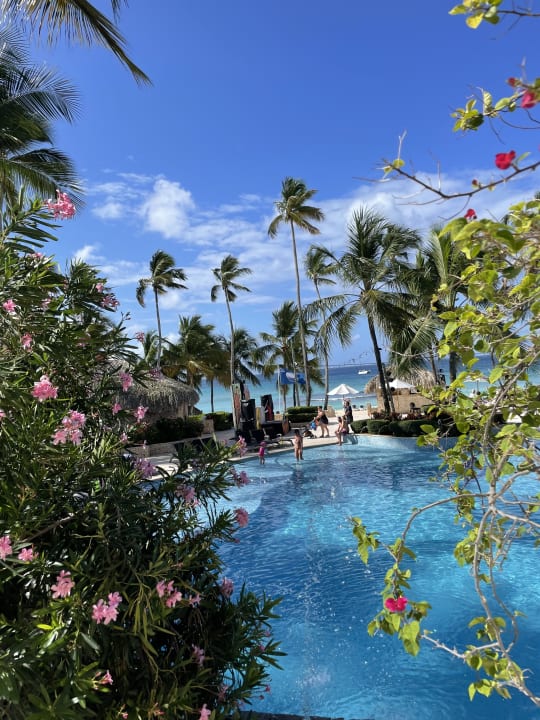 Pool Hotel Viva Dominicus Beach by Wyndham - All Inclusive Resort