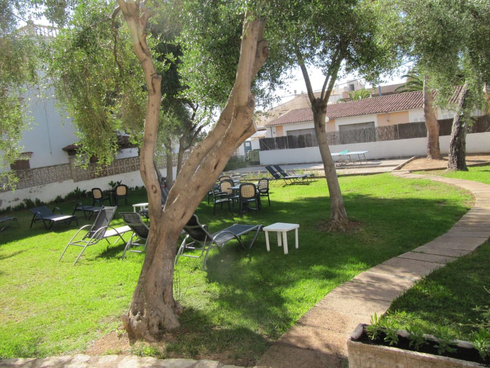 Gartenanlage mit Liegen Hotel Clumba