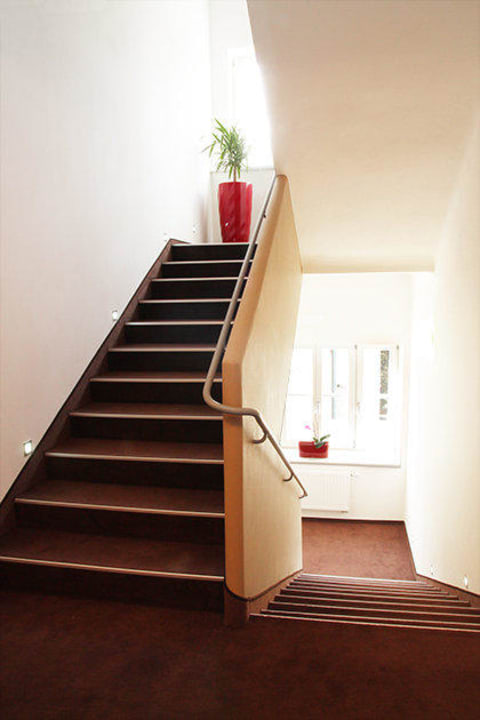 Prostory hotelu Hotel Vila Viola