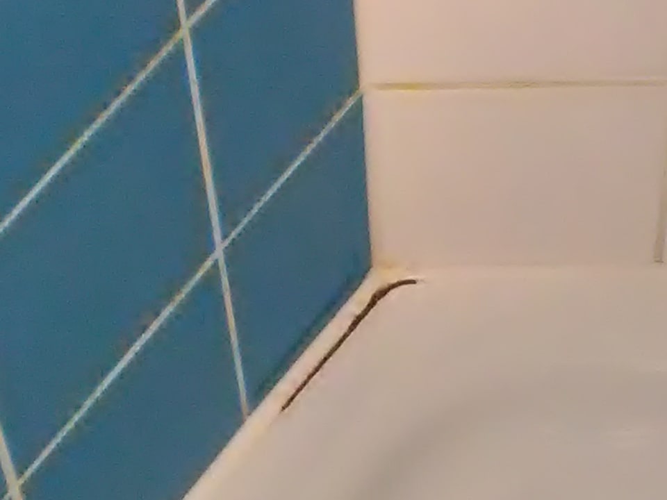 Zimmer B&B Hotel Köln-Messe