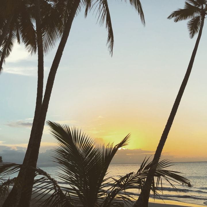 Ausblick Viva V Samana by Wyndham – Adults Only